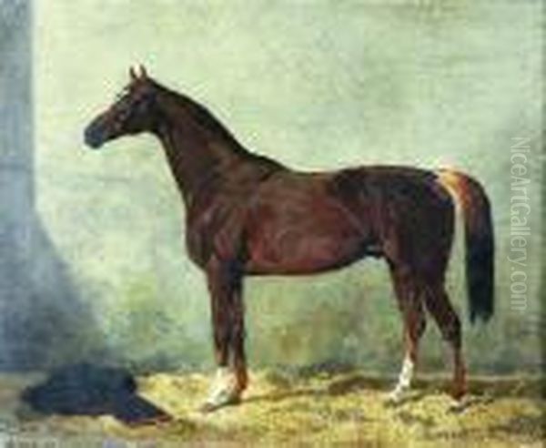 Kon - view 1