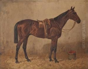 Pferd Im Stall by Fritz Volkers