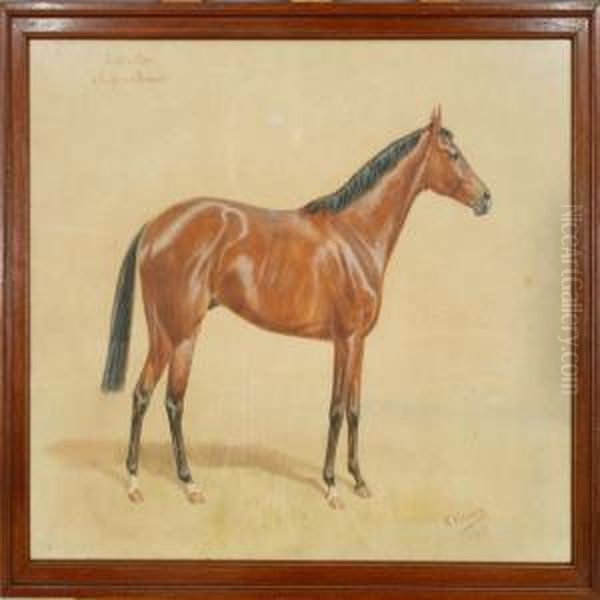 A Horse Portrait Of "golden Glen V. Targus A. D. Rockmills". Signed K. Volkers 1936 - view 1