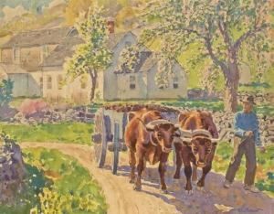 Driving Oxen