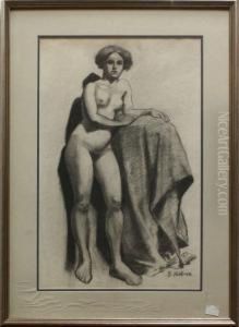 Nude Figure Nude Figure