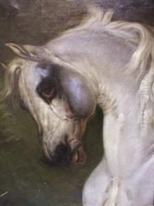 Cheval Blanc En Buste by Joseph Simon Volmar