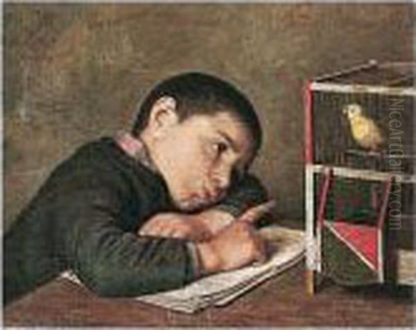 Contemplando Il Volatile (watching The Bird) - view 1
