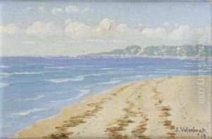 Approach To Stillbay, Riversdale by Jan Ernst Abraham Volschenk