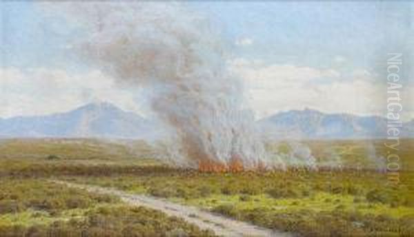 A Veld Fire, Riversdale - view 1