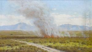 A Veld Fire, Riversdale