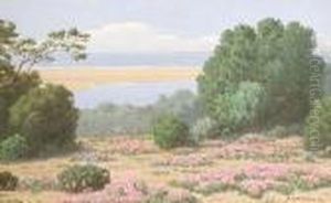 Sand-vygies, Stillbay, Riversdale by Jan Ernst Abraham Volschenk