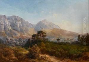 Table Mountain From Newlands