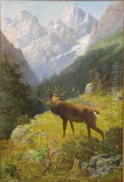 Rohrender Hirsch Im Hochgebirge - view 1