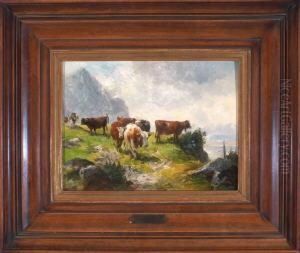 Kuhe Auf Der Alm