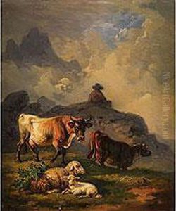 Kuhe Und Schafe In Hugeliger Landschaft