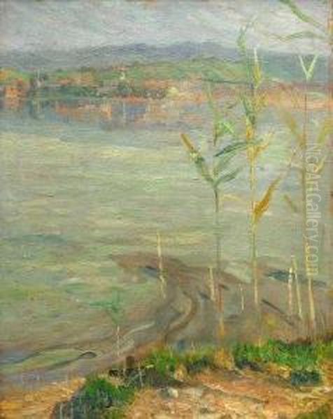 River Landscape - view 1