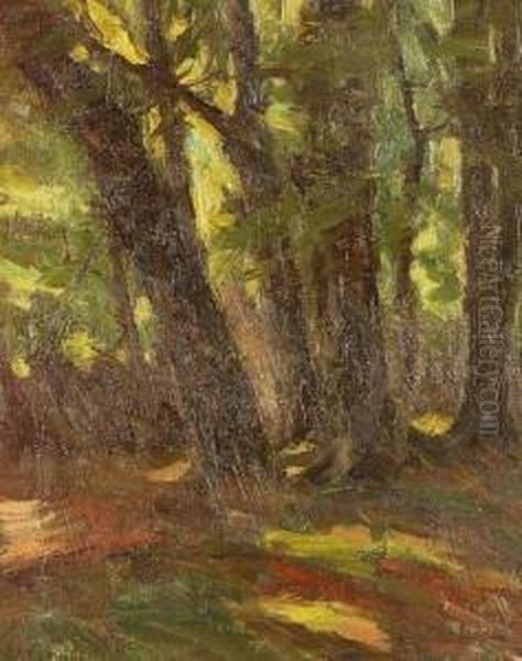 Forest Interior - view 1