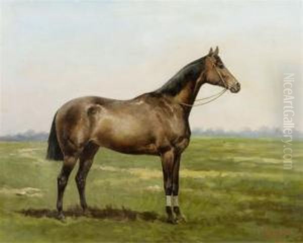 Horse In The Meadow - view 1
