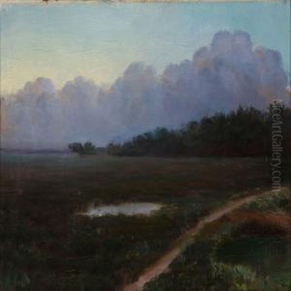 Evening Landscape - view 1