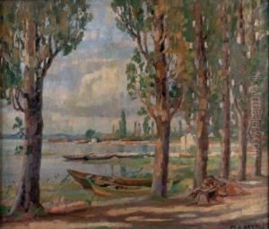 Uferlandschaft Uferlandschaft