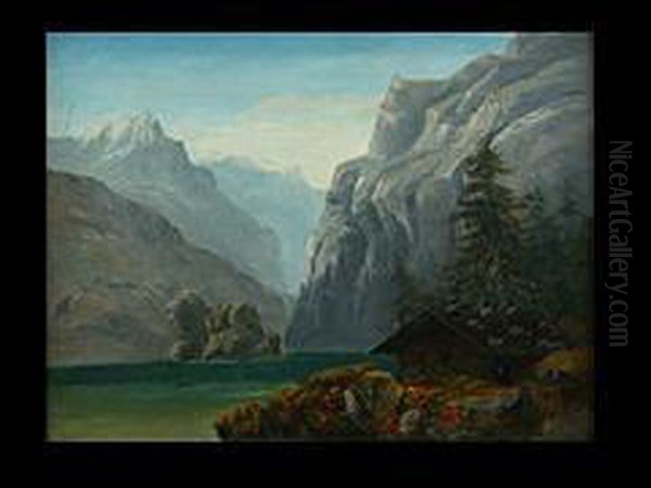 Gebirgssee - view 1