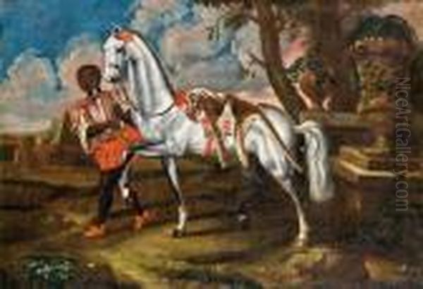 Lipizzaner Mit Dem Fell Eines Leoparden - view 1