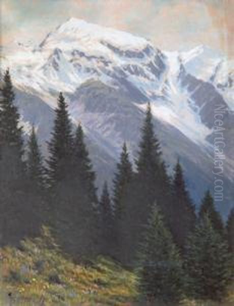 Ortlergruppe - view 1