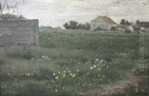 Bluhende Wiesen - view 1