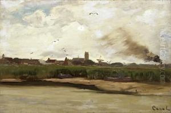 Schilfufer Mit Stadt Im Hintergrund - view 1