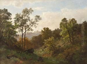 Fuchs In Sommerlicher Waldlandschaft