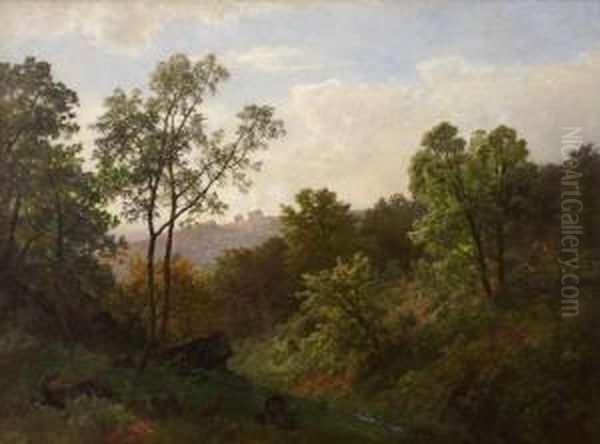 Bewaldetelandschaft - view 1