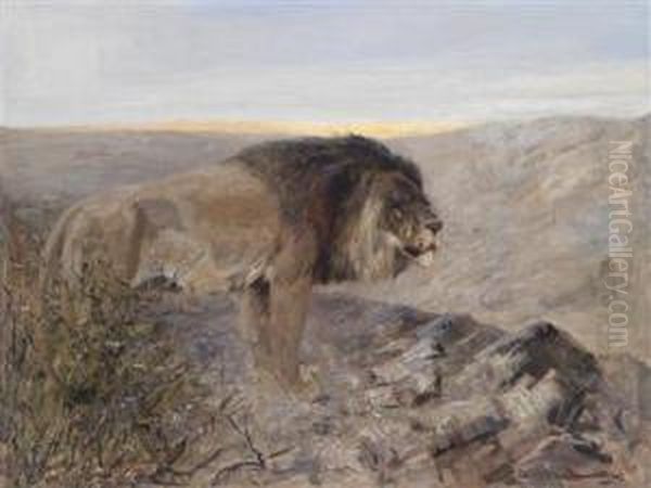 A Lion In An Evening Landscape - view 1