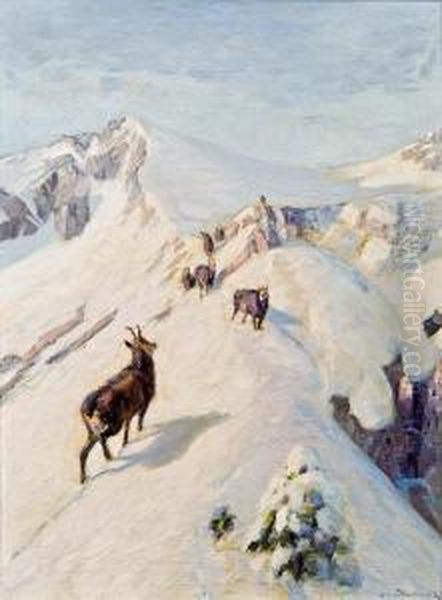 Gemsen In Winterlicher Berglandschaft - view 1