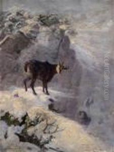 Gemsen Im Winter