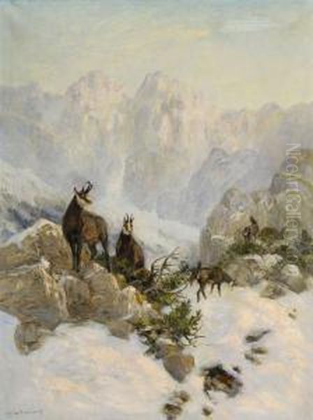 Gamswild In Winterlicher Gebirgslandschaft - view 1