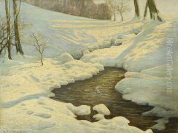 Winterlicher Bachlauf - view 1