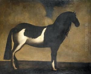 A Black And White Brindled Horse Standing In Profile by David Klocker Von Ehrenstrahl
