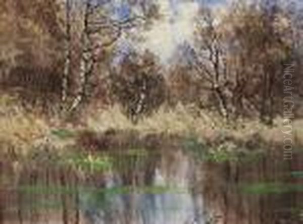 Lichte Baumlandschaft Am Vordarss. - view 1