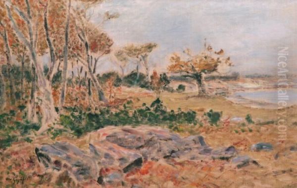 Kustlandskap - view 1