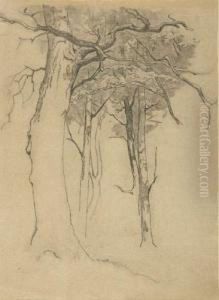 Baumstudie. by Josua Von Gietl