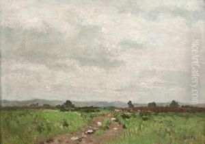 Sommerliche Heidelandschaft Mit Einem Feldweg. by Josua Von Gietl
