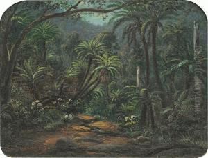 Ferntree Gully In The Dandenong Ranges by Eugene von Guerard