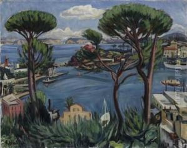 Harbour Of Ischia. 1954 - view 1