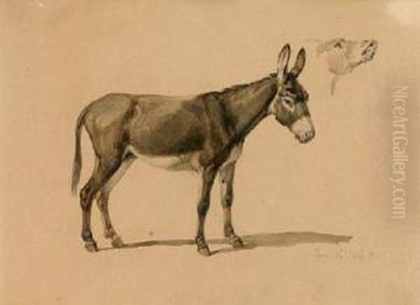"eselstudie" - view 1