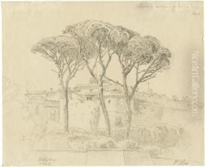 Pinien Bei Castel Gandolfo by Peter Heinrich Lambert Von Hess