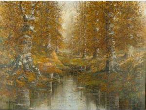 Large Autumn Birch Tree Landscape With Stream