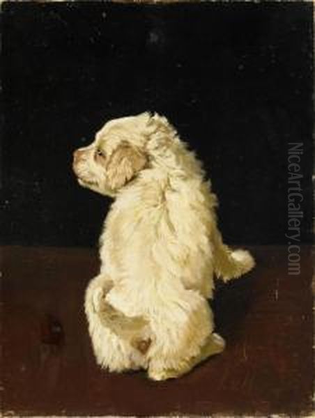 Hundvalp - view 1