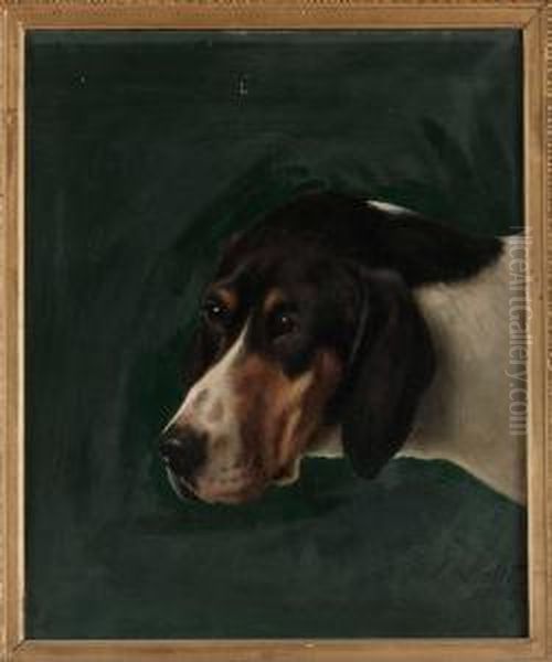 Hunden Lord - view 1