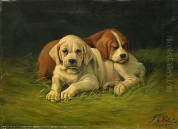 Hundvalpar - view 1
