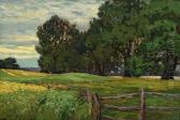 Landschaft Am Waldrand - view 1