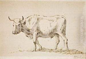 Studie Zu Einemochsen by Wilhelm Alexander W. Von Kobell