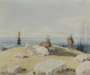 Goats On A Hilltop Goats On A Hilltop