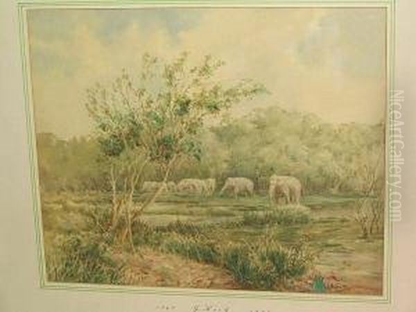 Elephants Drinking - view 1