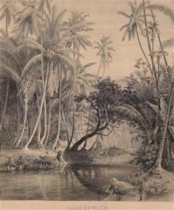 Urwald Auf Ceylonund Palmwald by Hermann Reichsfreih. Von Konigsbrunn